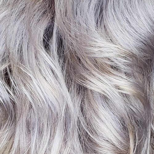 Ash grey color of hair.